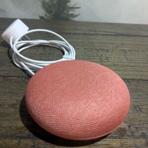 Coral Smart Speaker with Cable